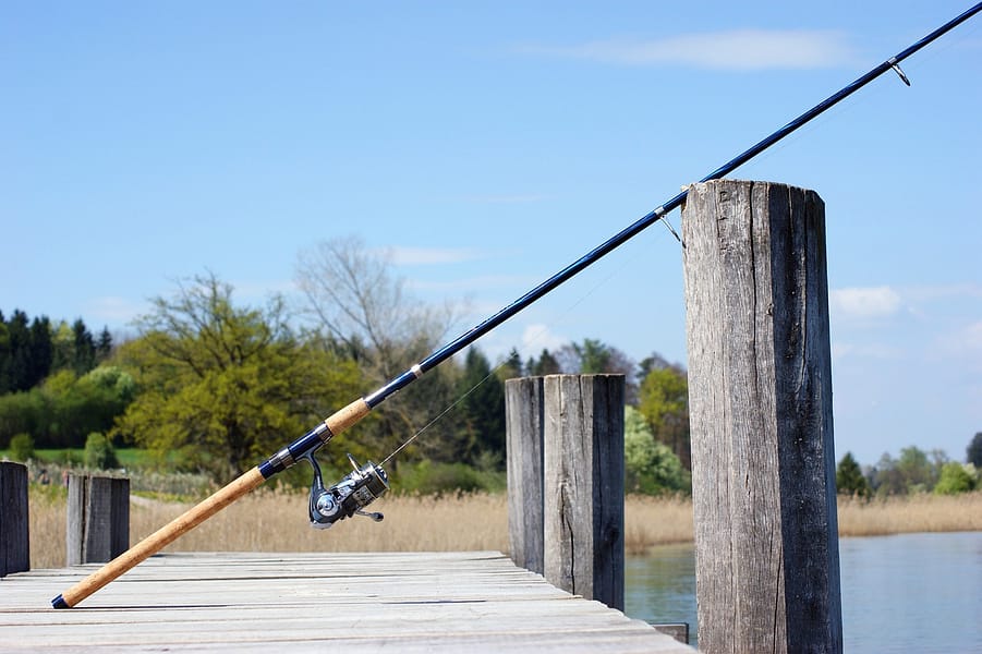 fishing rod - therequiremag